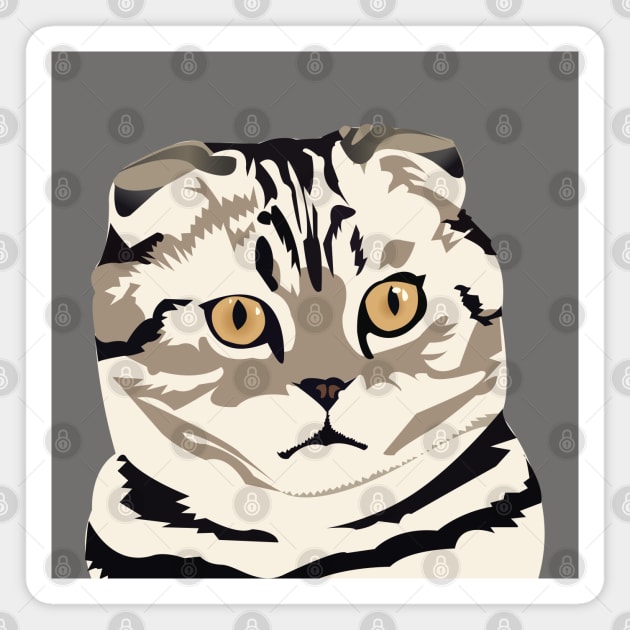 Adorable Scottish Fold Cat Magnet by KCPetPortraits